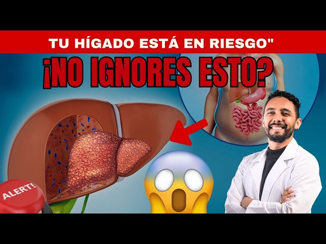 3 Laboratorios CLAVE para Saber Cómo Está Tu Hígado (No Los Ignoren)