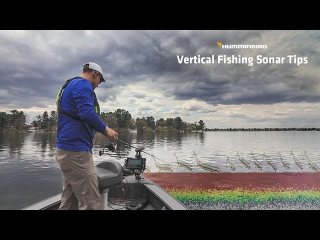 Vertical Fishing Sonar Tips | Humminbird