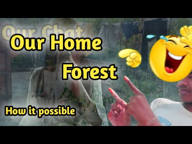 View Of Our Home | Our Home Or Forest| Mini Vlog | #trending #vlog