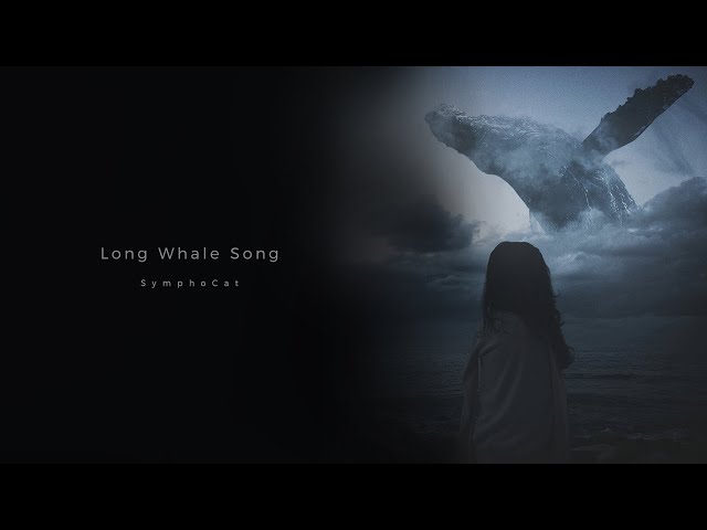 SymphoCat - Long Whale Song