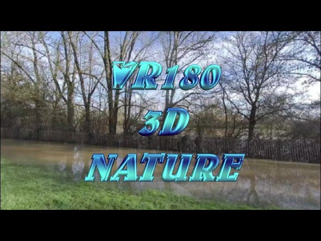 2024   NATURE 3D   Promenade marinale   24 février   VR180 3D