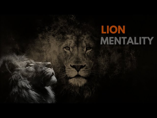 LION MENTALITY - Motivational Video