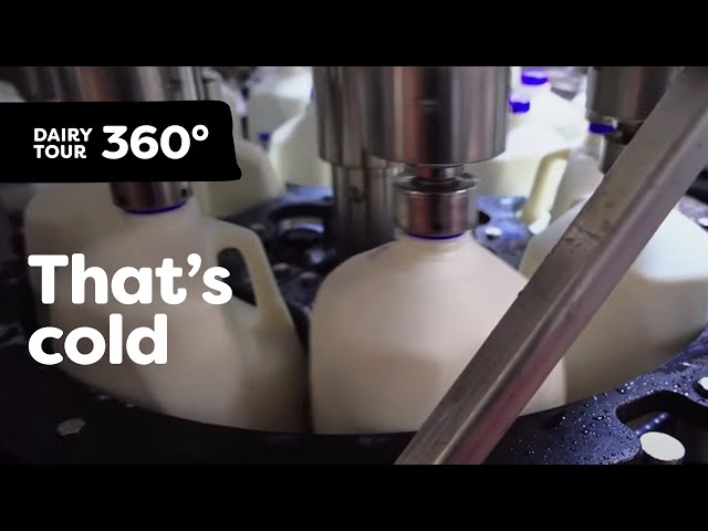 Follow Milk From Farm to Table | Dairy Tour 360 VR – Part 4