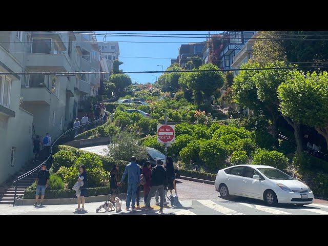 【VR 360 Video】【California】 Lombard Street Steps in San Francisco on May 2022