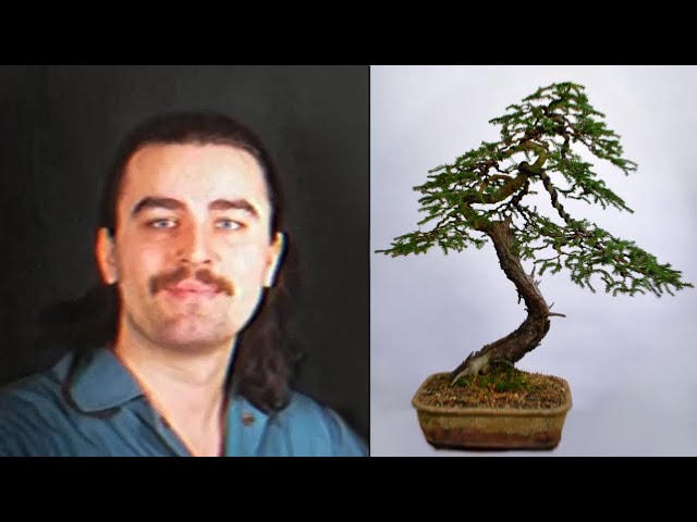 Cozy Lofi ASMR - Start a Bonsai Tree