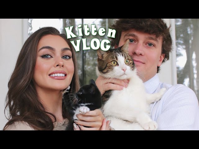 RESCUE KITTEN VLOG🍼 a tiny kitten's journey🐈‍⬛