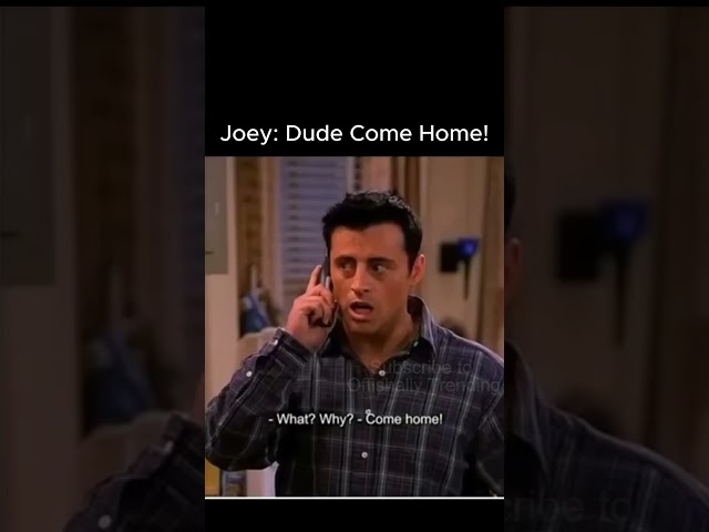 F.R.I.E.N.D.S | Joey: Dude come home! | #friends #funny #movie #sitcom #shorts