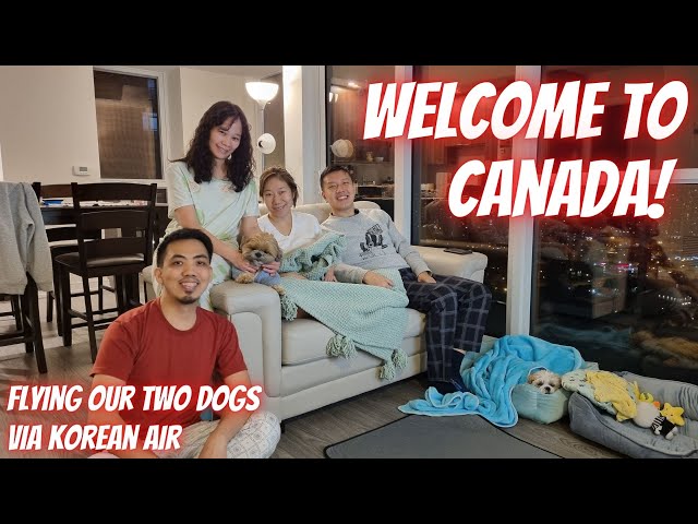 Life in Canada | Vlog#010: Welcome to Canada, ML and MiMo!