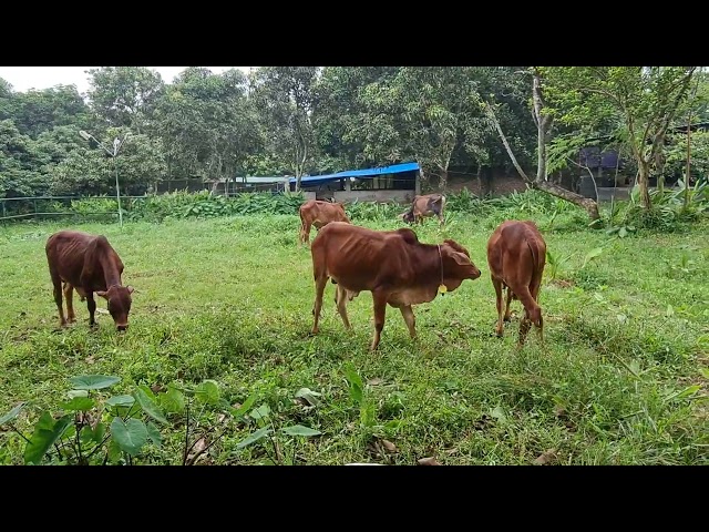 Feeding time (Playgroup)(2)