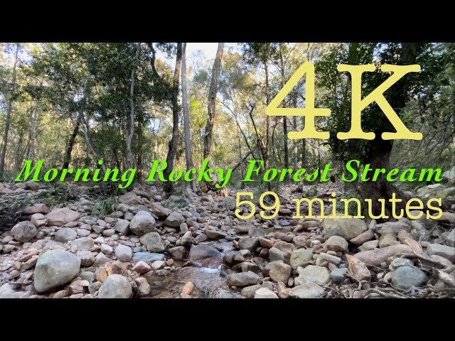 59 minutes Winter Morning Rocky Forest Stream - 4K Ambience Background Screensaver ASMR