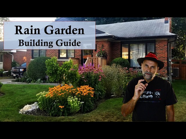 Build a Rain Garden ☔️🌊❄️ Step by Step Instructions that Makes it Easy