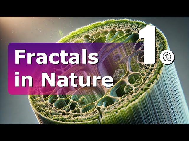 Nature's Greatest Hits - Fractals in Nature -  1. #fractals #nature #explained