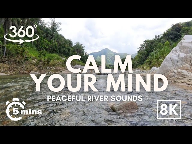 Relieve Anxiety with 5 Minutes of Relaxation on a Soothing River. Unwind with Binaural Beats 8K 360.