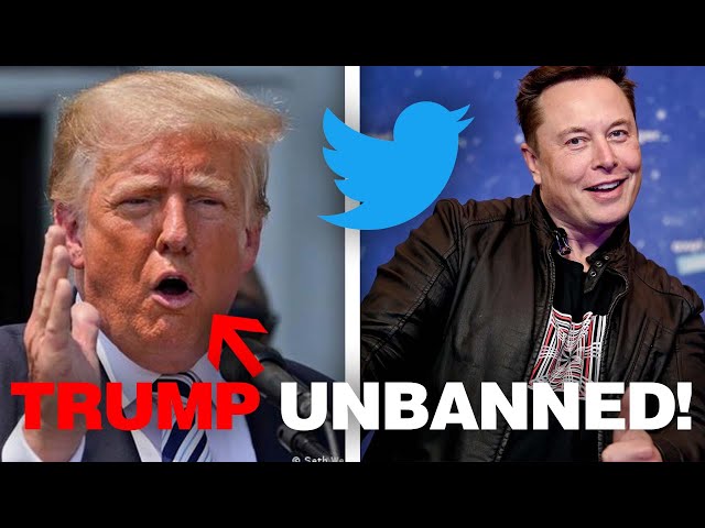 Why ELON MUSK might unban DONALD TRUMP