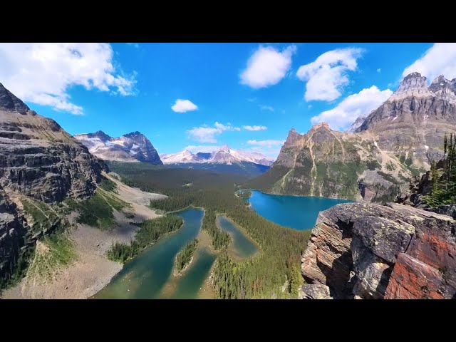 360 Video: Lake O'Hara from Opabin prospect