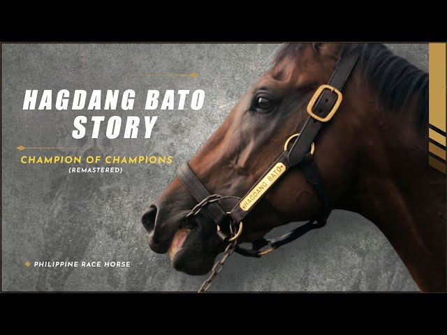 Greatest Race Horse in Philippine History - Hagdang Bato Story