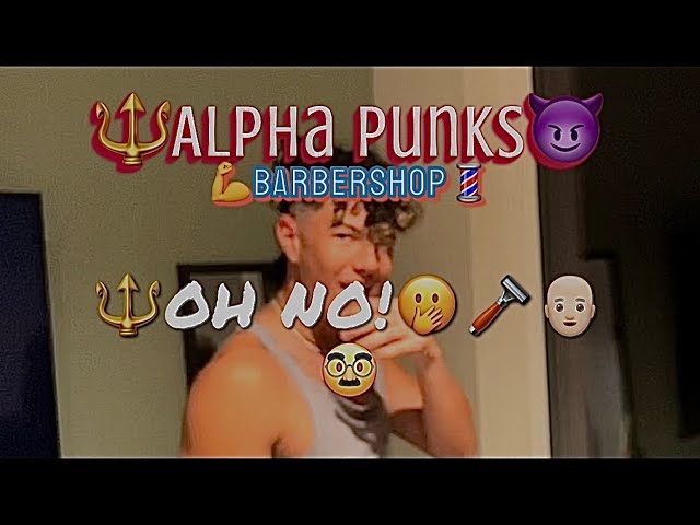 ALPHA PUNKS BARBERSHOP🪒💈🫢🥸😂