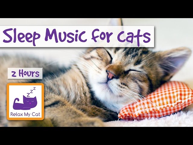 2 HOURS of Sleep Music for Cats. Try it Today and be Surprised!