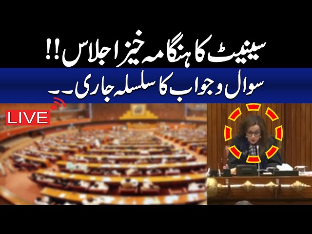 LIVE Senate Session (14-02-2025) | Get News