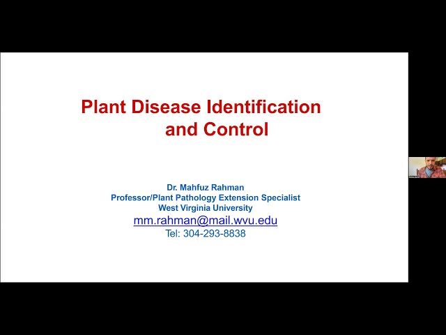 "Plant Disease Identification and Control" (Throwdown Thursday 4-18-24)