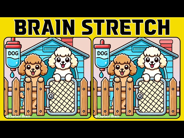 🧠🧩Visual Brain Fitness: SPOT The Differences In These Images (A Bit Tricky)