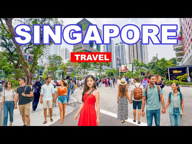 Singapore City | The Most Amazing Places in Singapore | Travel Video 8K 🇸🇬❤️🤑