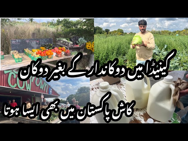 Canada Main Rah Ker Aisa Pahle Baar Dakha | Fresh Milk Farm | Shoes factory gaya