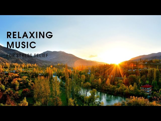 BEAUTIFUL RELAXING MUSIC FOR STRESS RELIEF