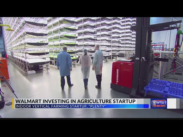 Walmart invests in indoor vertical farming startup Plenty