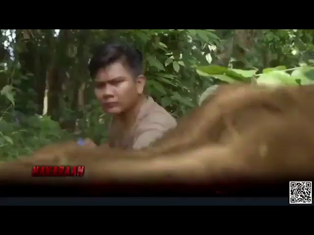 Ang Probinsyano march 11,2021