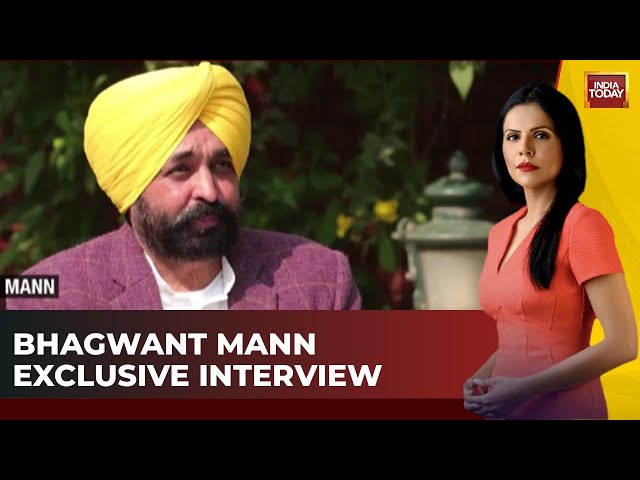 To The Point With Preeti Choudhry: Punjab CM Bhagwant Mann Exclusive | Delhi Elections 2025