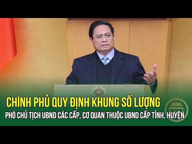 Chính phủ quy định khung số lượng Phó Chủ tịch UBND các cấp, cơ quan thuộc UBND cấp tỉnh, huyện