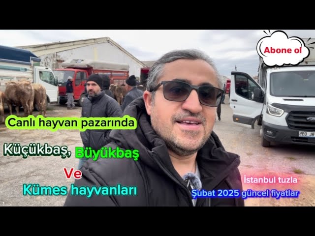 Yer İstanbul tuzla Aydınlı canlı hayvan pazarı şubat 2025