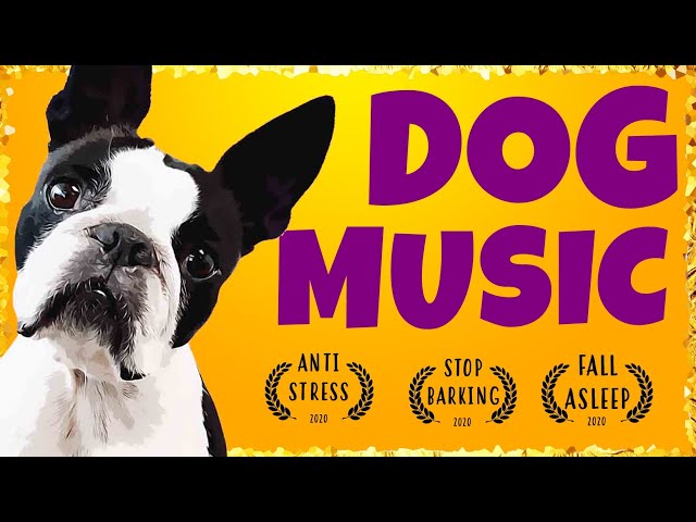 Relaxing music for Boston Terrier ~ Music For Dogs to Sleep [TESTED]