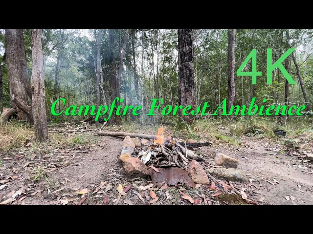 Campfire Forest Ambience - ASMR sounds of fire and birds. Featuring Christian - resident Producer