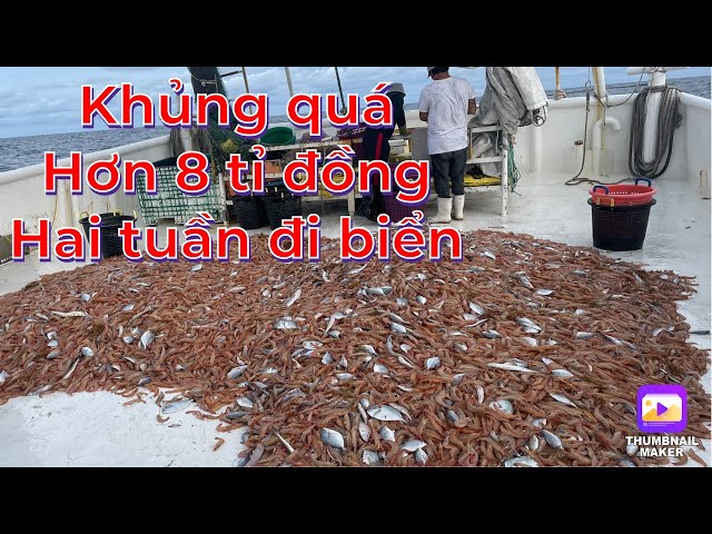 Nghề biển - thu về tiền tỉ | Làng chài người Việt ở Mỹ