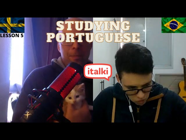 Studying Portuguese on Italki (lesson 5) - penguins