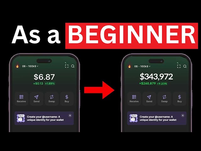 How To Make $100 Daily Trading Memecoin as a Beginner ( Full guide 2024)