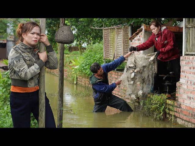 A Living Life: Father And Daughter On Fish Harvest Day Goes to Market Sell! | Lý Tử Liên