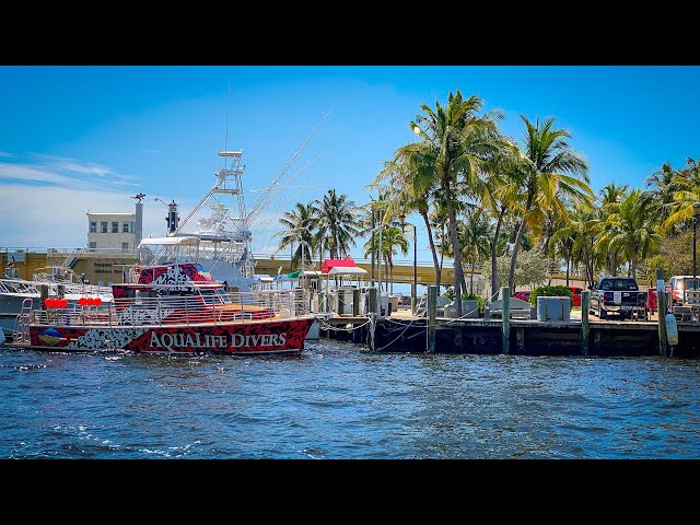 Diving the BEST SHIPWRECK in FLORIDA!!Lauderdale by the Sea} 🏴‍☠️