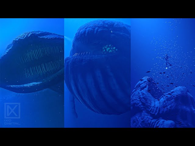 Bloop – Mysterious Deep-Sea Creature That Triggers Your THALASSOPHOBIA