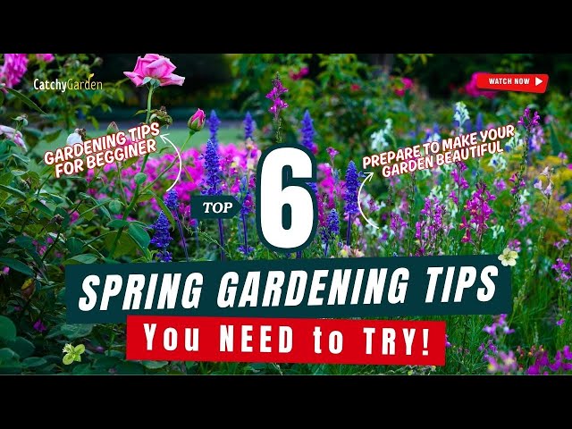 Top 6 Spring Gardening Tips You NEED to TRY! 🌸🍂🌷 // Gardening Ideas