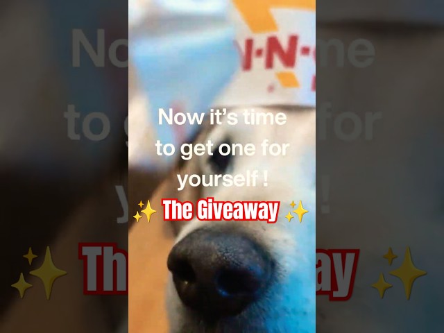 🍔😮WHOA‼️WHAT HAPPENED TO "THE CUTE"..NOW IT IS CALLED "THE GIVEAWAY"⁉️REALLY⁉️ 📹 THE GIVEAWAY‼️