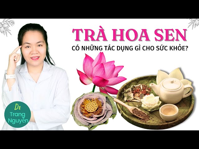 Uống trà hoa sen có tác dụng gì cho sức khỏe? Cách sử dụng và những lưu ý