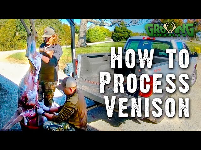 How to Process a Deer: Get Ready to Do It Yourself