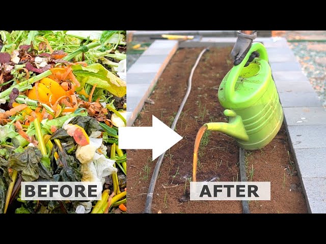 Turn Kitchen Waste into Compost Tea