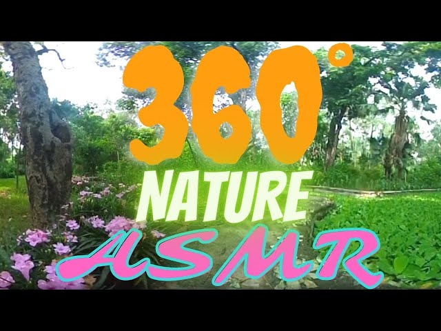 ASMR 360 degrees at Lodhi Garden