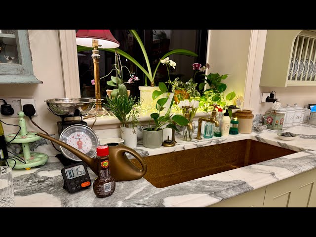 Afternoon Routine After Work-House Plant Care & Laundry #afternoonroutine  #afterworkroutine