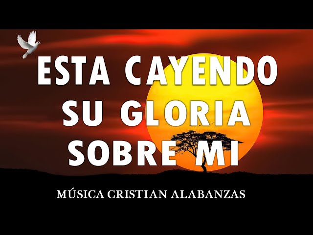 PODEROSAS CANCIONES CRISTIANAS PARA LIBERAR TU MENTE Y EL CORAZÓN🕊️ESTA CAYENDO ( CON LETRA)🙏