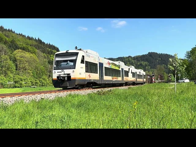 Allemagne compilation vidéos trains Regio-Shuttle RS1 Stadler (Class 650) en Forêt-Noire